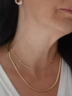 Colar Naja Banhado a Ouro 18k