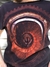 REMERA OTRANTO (20060001)