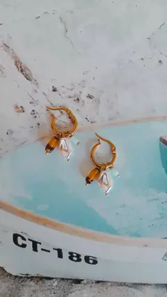 Aros Nácar & Carey