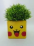 Maceta Pokemon