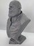 Busto Thanos de 25 CM de ALTO - Impresiones 3DMax