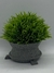 Mini maceta Simil piedra - comprar online