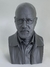 BUSTO WALTER WHITE DE 25 Cm de alto BREAKING BAD
