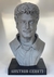 Busto Gustavo Cerati de 25 Cm de alto - comprar online