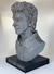 Busto Gustavo Cerati de 25 Cm de alto - Impresiones 3DMax