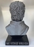 Busto Gustavo Cerati de 25 Cm de alto - tienda online
