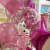 Globo de latex inflado con Helio Transparente con Confetti - LARGA DURACION Fucsia/Plata/Blanco - comprar online