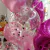 Globo de latex inflado con Helio Transparente con Confetti - LARGA DURACION Fucsia/Plata/Blanco en internet