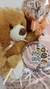 Caja 16 Arabescos Chocolate con Oso de Peluche - comprar online