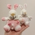 Conejitos Benjamines de Plush - Tonos Rosados