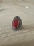 Anillo en internet
