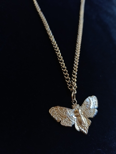 CHAIN MOTH