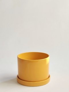 Maceta cilíndrica + plato - comprar online