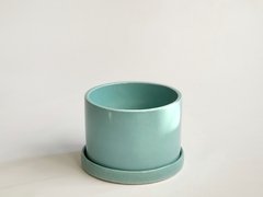 Maceta cilíndrica más plato - comprar online
