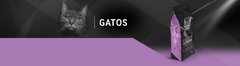 CLEVER GATOS 10KG en internet