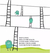 Camino con palabras - comprar online