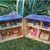 Casita Viajera - comprar online