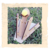Catapulta - tienda online