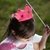 Kit mi Capa de Princesa en internet