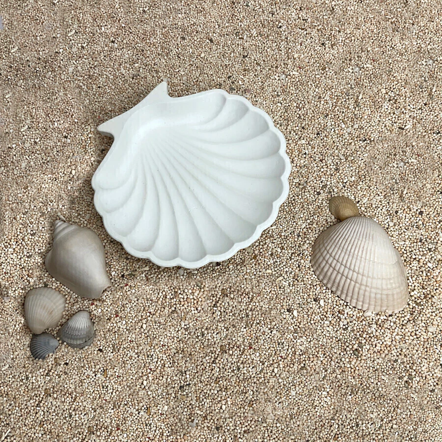 Base de Resina Caracol Blanco