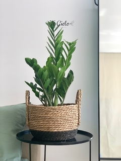 Cesto Fonda - comprar online