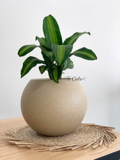Imagen de Maceta Esfera