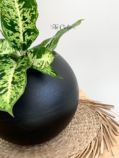 Maceta Esfera - tienda online