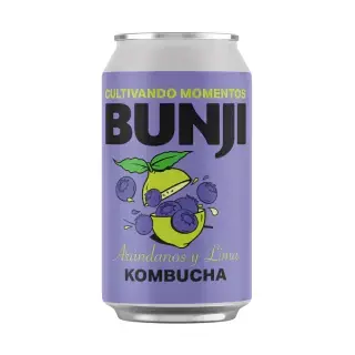 KOMBUCHA ARANDANOS Y LIMA - BUNJI - comprar online