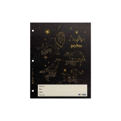 SEPARADORES N°3 MOOVING HARRY POTTER - comprar online