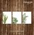 Kit 3 Quadros - 30X40cm - PLANTAS