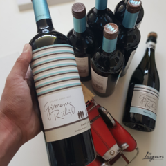 Gimenez Riili Buenos Hermanos Malbec 750cc