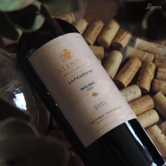 SALENTEIN Single Vineyard La Pampa 1997 Malbec 750cc