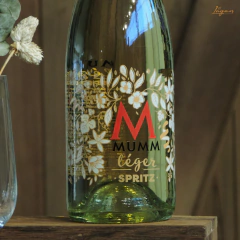 MUMM Leger Spritz - 750cc - comprar online