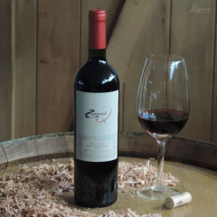 Zuccardi Q Malbec 2009 750cc