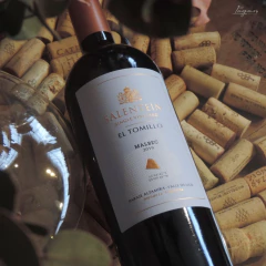 SALENTEIN Single Vineyard El Tomillo Malbec 750cc - comprar online