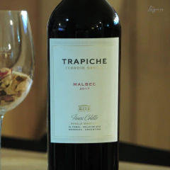 Trapiche Terroir Series Finca Coletto Malbec 750cc en internet