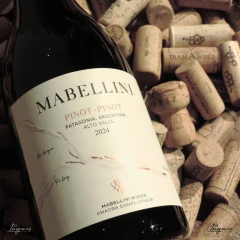 Mabellini Pinot Noir 750cc - comprar online
