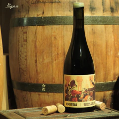 THE PARTY Malbec 750cc - MATIAS RICCITELLI Wines - comprar online