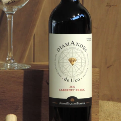 Diamandes de Uco Cabernet Franc 750cc - Bodega Diamandes - comprar online