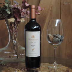 SALENTEIN Single Vineyard Las Tunas Malbec 750cc - comprar online
