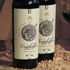 Tourbillón Reserva Merlot-Petit Verdot 750cc - Bodega Sanchez Carrillo - comprar online