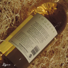Coquena Torrontes 750cc - Bodega Yacochuya - comprar online
