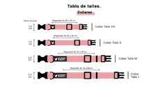 CONJUNTO HUSKY COLLAR Y CORREA FALKNER en internet