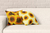 Kit 2 Almofadas Com Enchimento Sunflower
