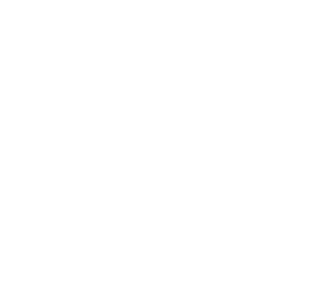 Ramonda Bazar y Deco