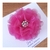 laço camelia flor pink
