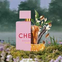 Cher 18 glossy en internet