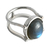 Anillo Equivoco en internet
