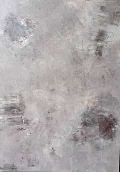 STR 41 (65 x 90) en internet