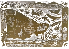 Mapa Peninsula Mitre - comprar online
